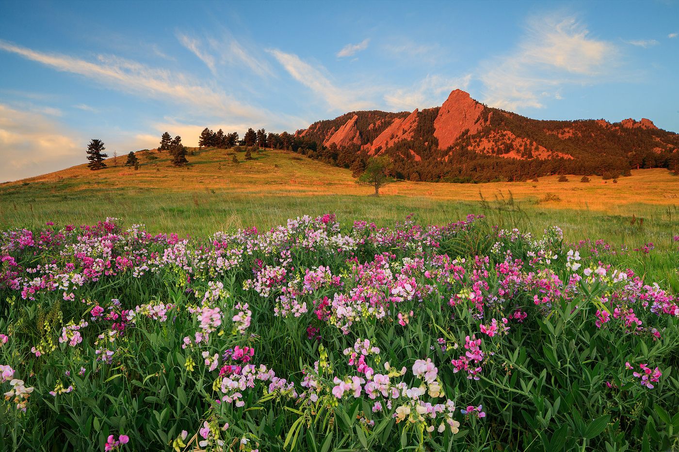 Boulder Colorado acreage
